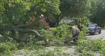 Rival schools unite in storm clean up