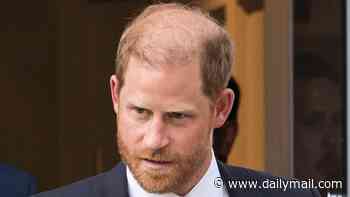 Baroness Lawrence and Prince Harry accuse judge of bias and whitewash in stinging statement