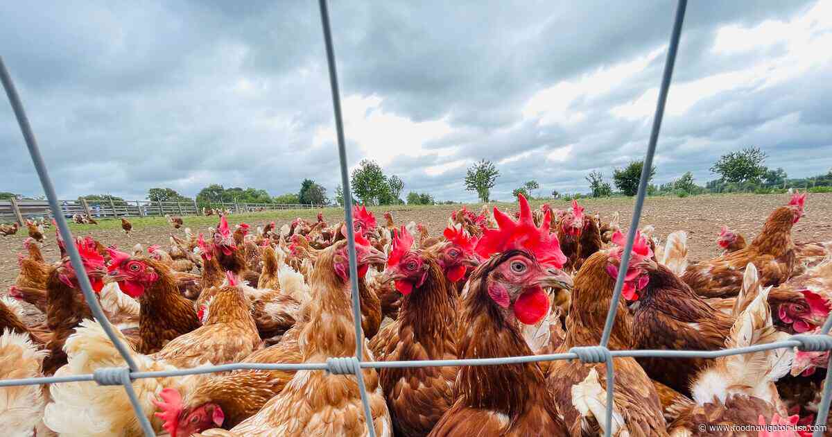 Watchdog group blasts USDA move to roll back poultry and livestock protections
