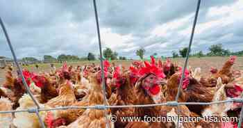 Watchdog group blasts USDA move to roll back poultry and livestock protections
