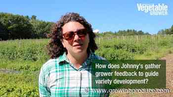 Video: How Grower Feedback Is Vital To Shaping New Vegetable Varieties