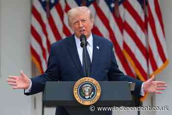 Trump bragged about his beautification projects having 4 billion TikTok views - but that might not be a good thing