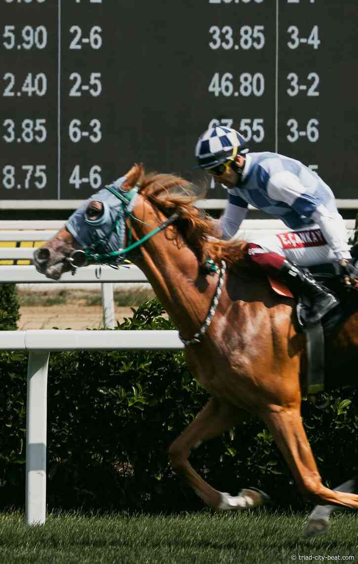 Free Bets Speak a Different Language Than Free Spins