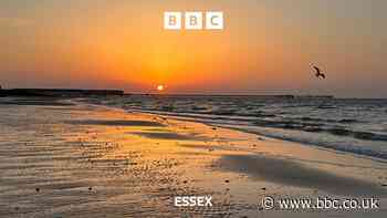 Latest Essex heatwave: what to expect