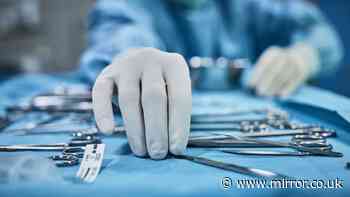 New NHS technique means hundreds of organs will be saved for lifesaving transplants