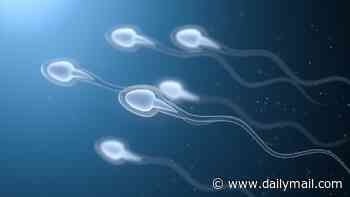The DIY test that could change fatherhood forever: Home kit checks fertility in just 15 minutes - as experts warn sperm counts have halved over the past 50 years