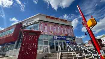 Edmonton city council passes Pacific Mall rezoning to allow for mid-rise and high-rise mixed use
