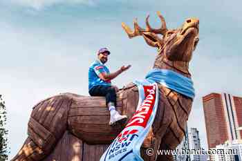 Tooheys Smuggles Trojan Stag Into Brisbane For Origin Decider