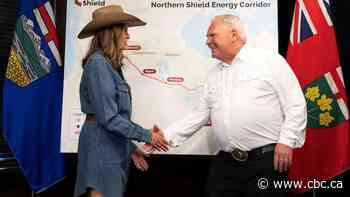 No consultation so far with Aamjiwnaang First Nation on proposed oil pipeline to Sarnia, chief says