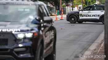 ICE fatally shoots man during enforcement operation in Houston: DHS