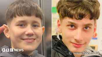 'Brave' boy died trying to save friend in river