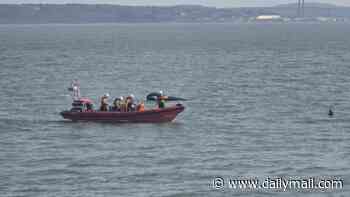 Man in his 50s dies after being hit by a jet-ski whilst riding on an inflatable with children off Hampshire coast
