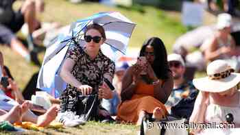 Blister plaster sales almost double as Wimbledon fans seek relief - alongside hay fever sufferers
