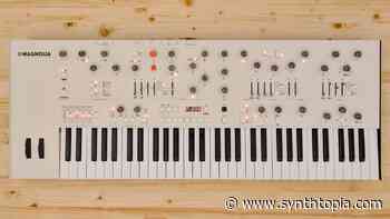 Frap Magnolia Synthesizer Updated