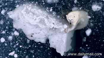 Top snaps from the Aerial Photographer of the Year Awards