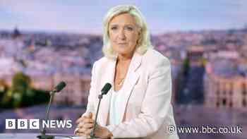 Watch: Marine Le Pen confirms run for French presidency