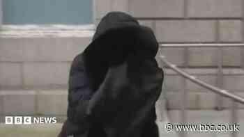 Woman accused of killing her baby daughter with a hairdryer