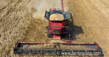 Grain markets rally on global risks, but will local prices follow suit?