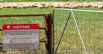 Biosecurity is a bee in our bonnet: it's time to turn frustration into action