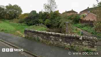 Two dead dogs found inside bags in streams