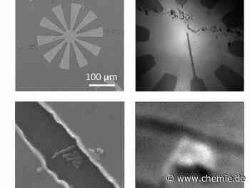 Magnetische Bildgebung: Mikroblumen verstärken das lokale Magnetfeld