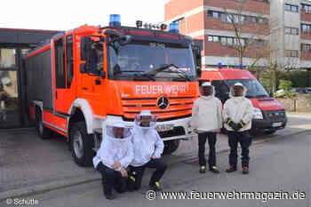 Wie die Feuerwehr bei Hornissen und Wespen hilft