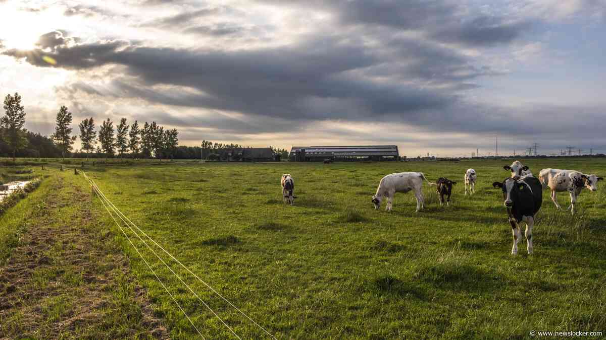 Woensdag veel bewolking verwacht, komende dagen wederom tropische temperaturen in het zuiden
