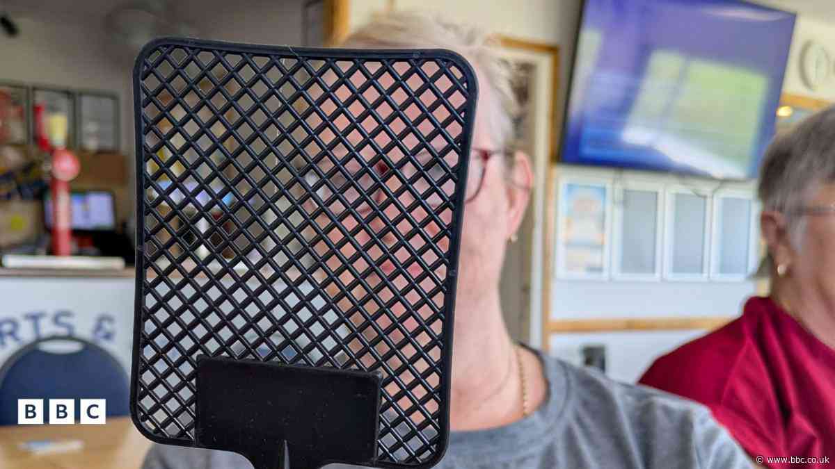 Tre'r sosban neu dre'r pryfaid? Y 'pla' mewn ardal glan môr