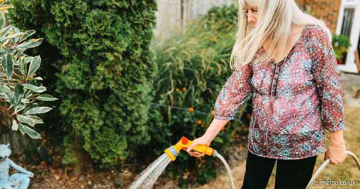 Will the UK heatwaves lower the value of properties with south-facing gardens?