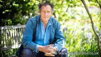 Monty Don tells gardeners to never put one thing out for wildlife