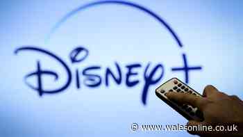 Snap up Disney+ for 16p-a-day in deal cheaper than Netflix and Amazon Prime