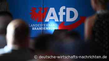 AfD-Brandmauer: Ostdeutscher CDU-Verband fordern ein Ende der Abgrenzung