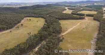 Little Billabong's Montana offers plenty of potential in a sort after area