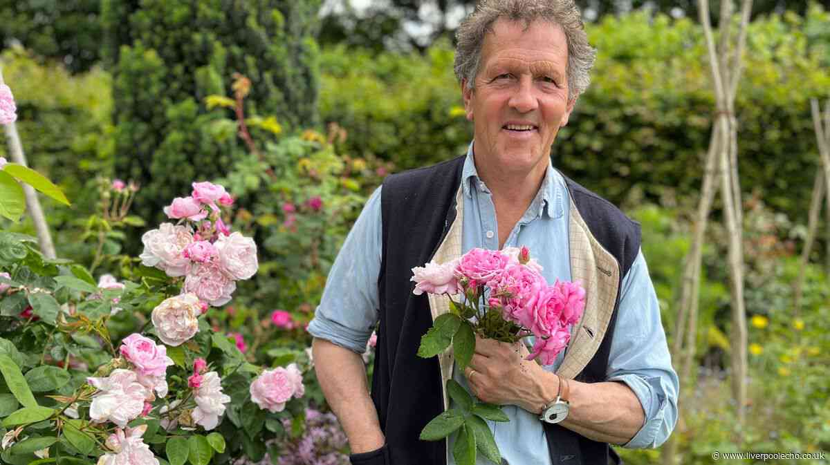 Monty Don warns against adding one specific item to bird feeders
