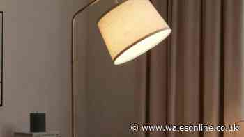 Dusk's 'stylish' floor lamp that looks 'high end' and 'complements living rooms'