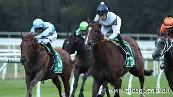 Tips and previews for racing at Gosford on Thursday