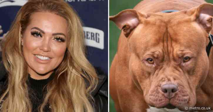 Reality star attacked by XL Bully shares details of bone-crunching injuries