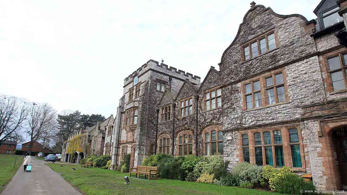 Chinese owners of Welsh school accused of 'land grab' after announcing its closure