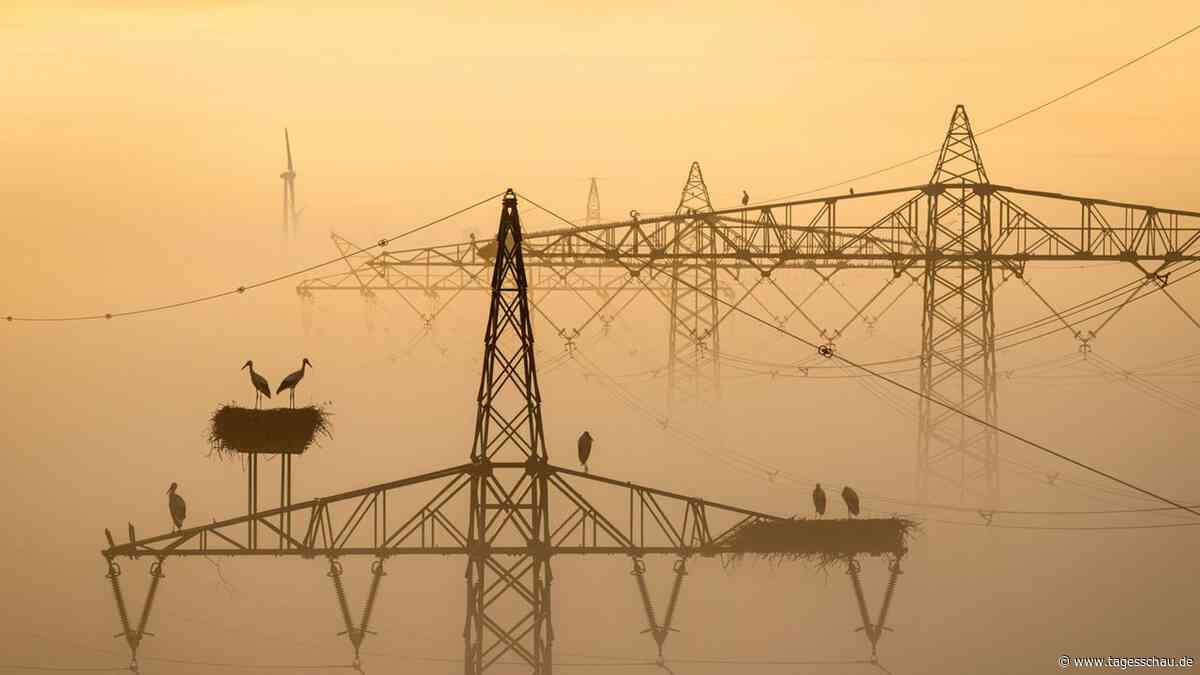 Chance auf Schadensersatz für Zehntausende Energiekunden