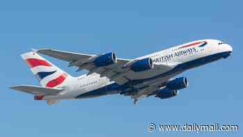 BA flight to UK is cancelled after crew members got so drunk the night before one of them collapsed in hotel bar