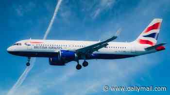 British Airways flight from Barbados 'is cancelled after aircrew enjoyed vodka and beer drinking session at £500-a-night honeymooners' resort'