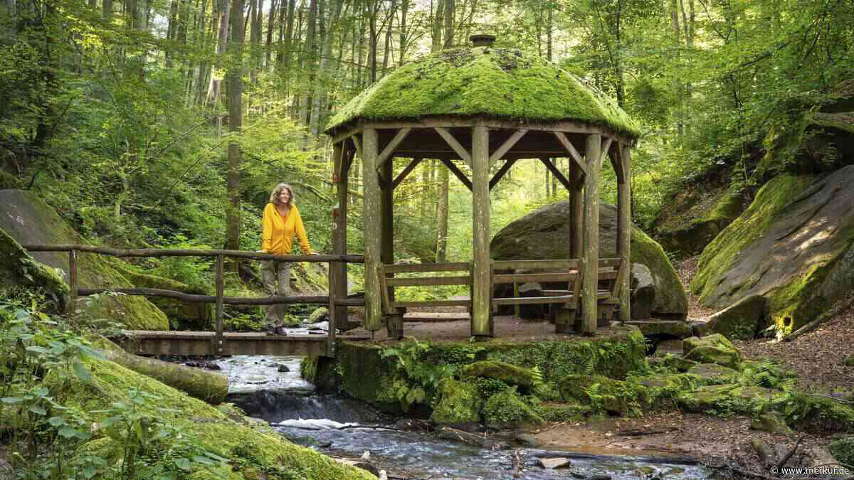 Diese Schlucht im Westen Deutschlands ist atemberaubend und kaum bekannt