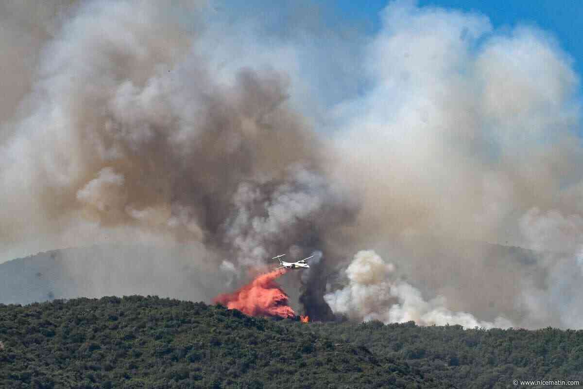 Incendies en France : le feu toujours actif dans les Pyrénées-Orientales et la Drôme, les flammes reprennent dans l’Hérault, six suspects interpellés... On fait le point