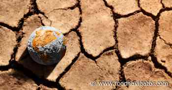 El Niño: How it will impact food and beverage