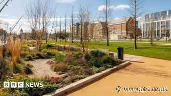 Poachers target revamped city centre pond
