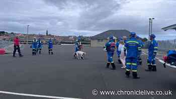 Huge emergency response in Northumberland after reports of person attempting to rescue dog in river