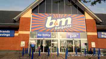 'Any room looks luxurious' with £10 B&M item like £50 Dunelm and Next versions