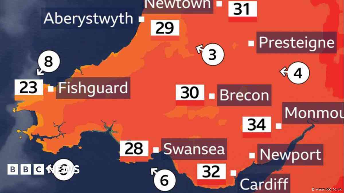Wales braces itself for another heatwave - how do you protect yourself in hot weather?