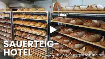 Geniale Idee: Bäcker bietet "Babysitting“ für verreiste Hobby-Bäcker an