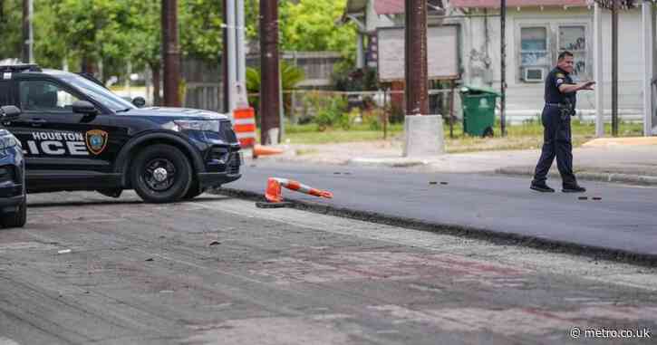 ICE agent shoots and kills Mexican man who ‘ignored stop order’